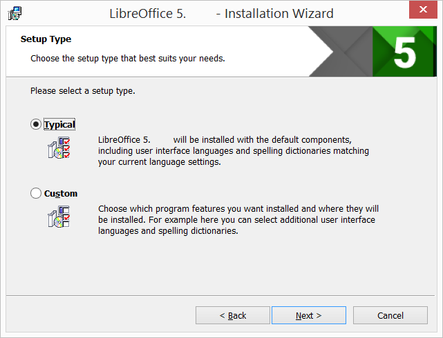 Setup Type | Installation Wizard